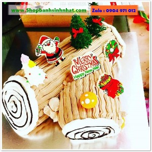 Bánh Kem Tặng Ngày Giáng Sinh - BR12